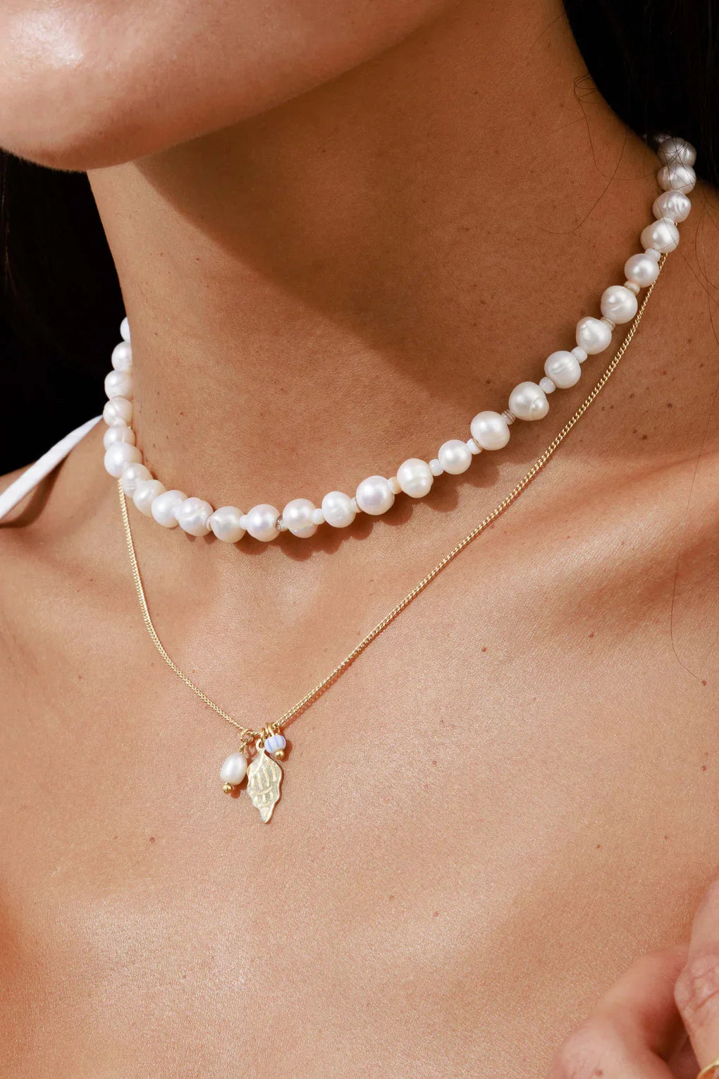 שרשרת קונכיה