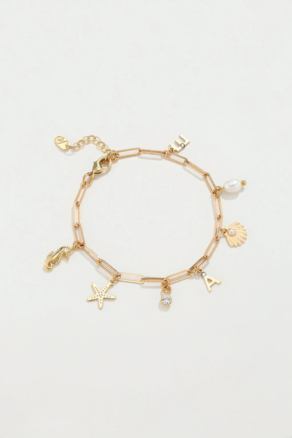 צמיד בסיס חוליות אובליות גדולות עם צ׳ארמס לבחירה