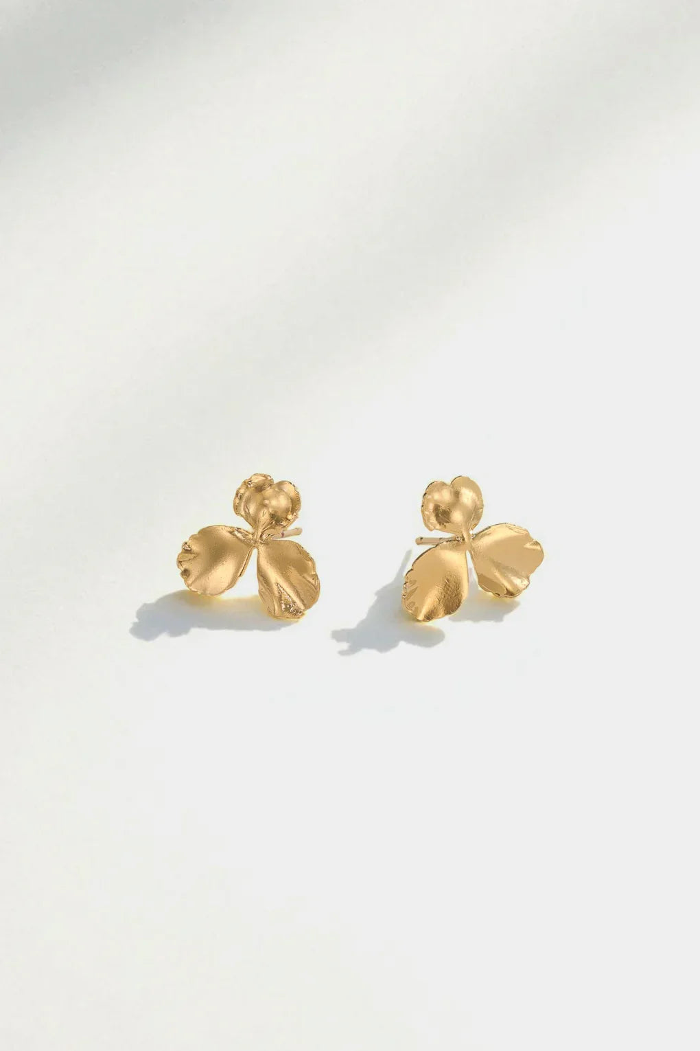 עגילי ויולטה קטנים