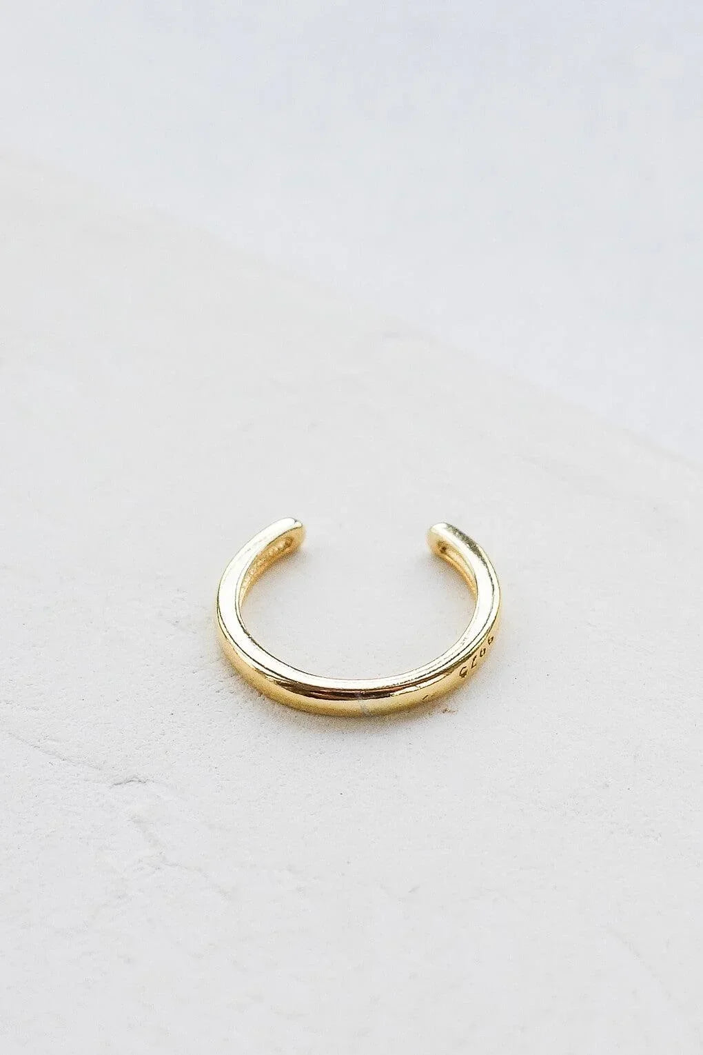 swell earring