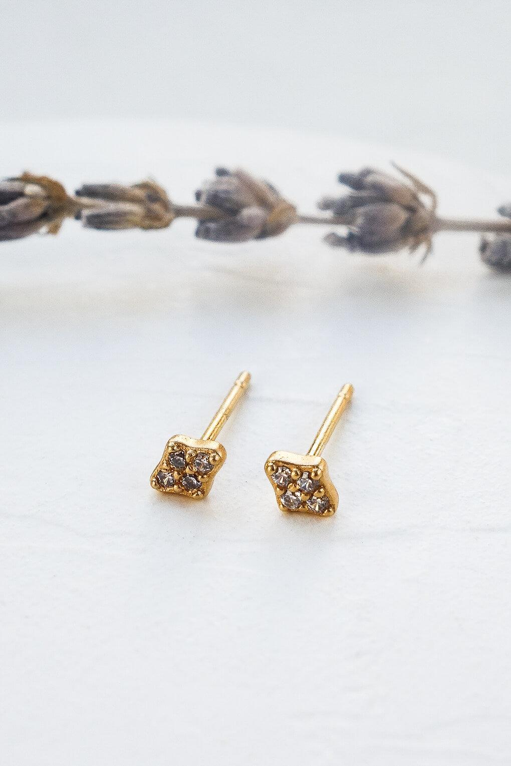 Celine Earrings