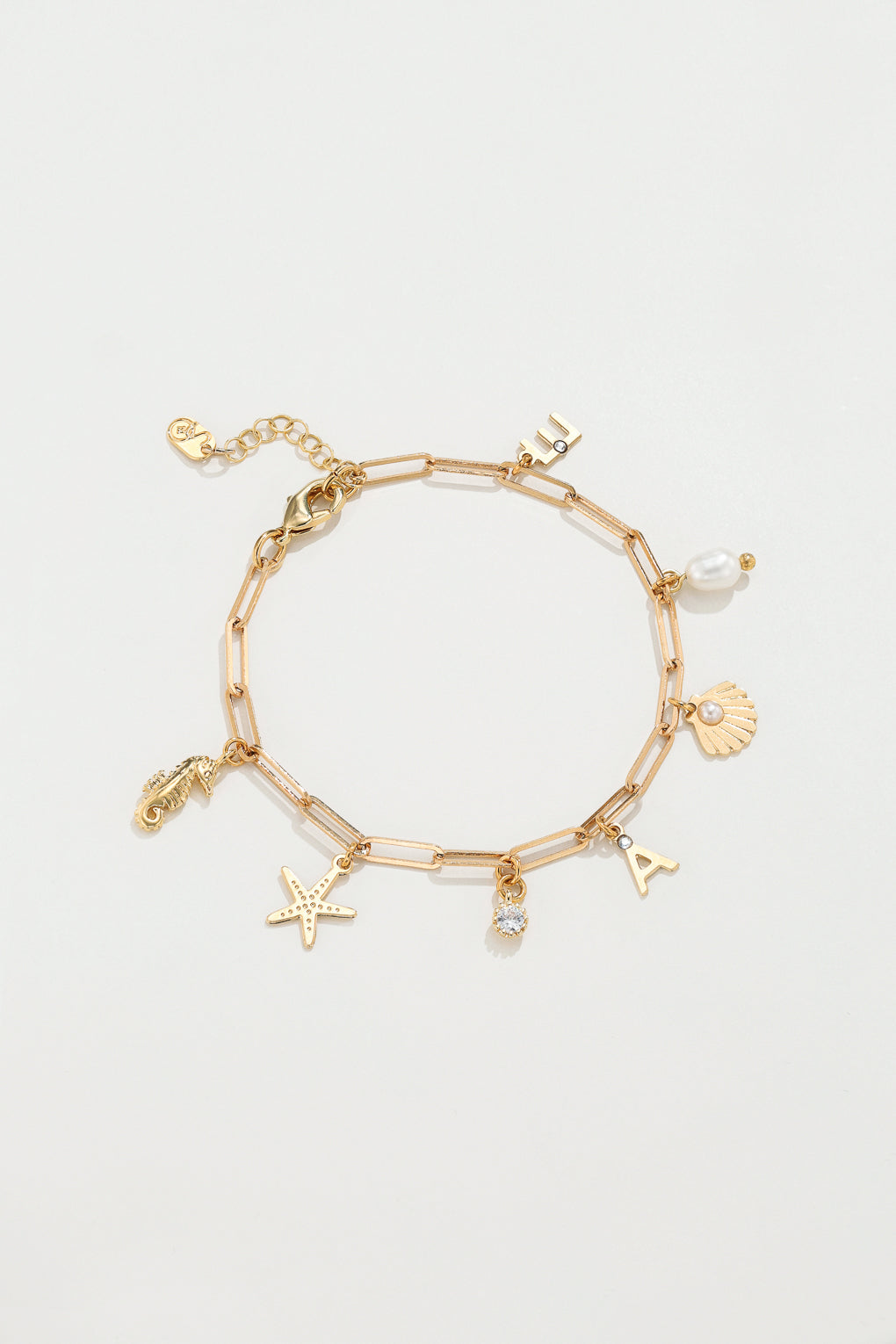 צמיד בסיס חוליות אובליות גדולות עם צ׳ארמס לבחירה