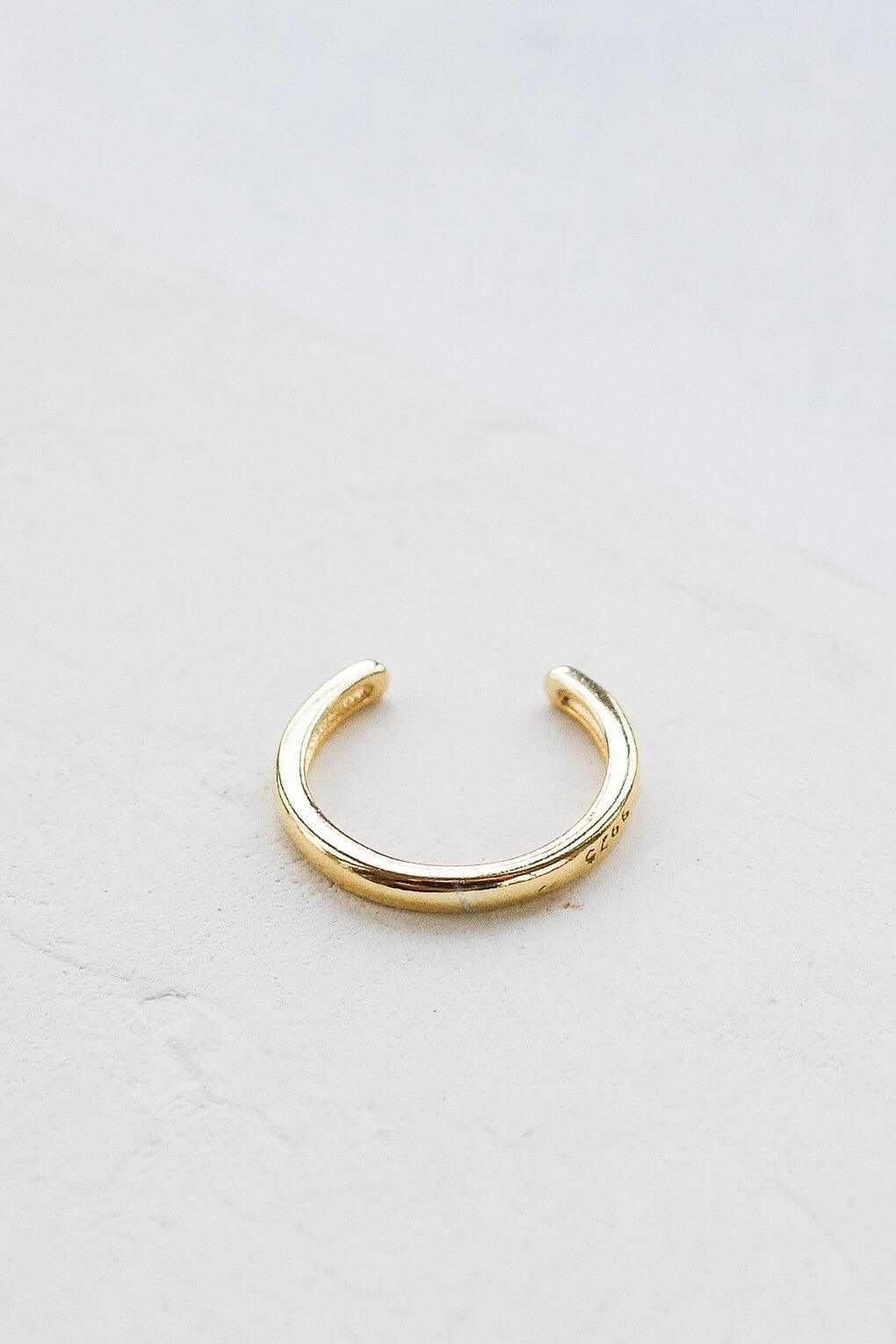 swell earring