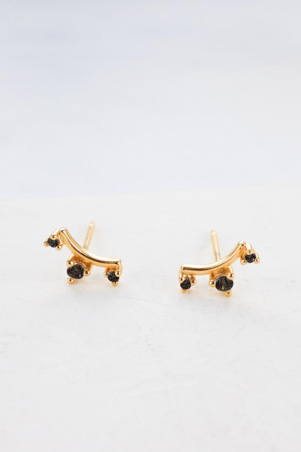 Crown Earrings