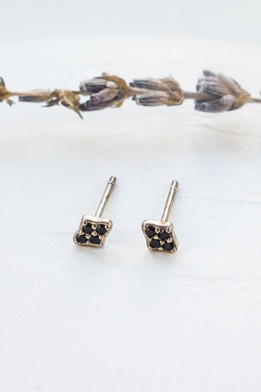 Celine Earrings